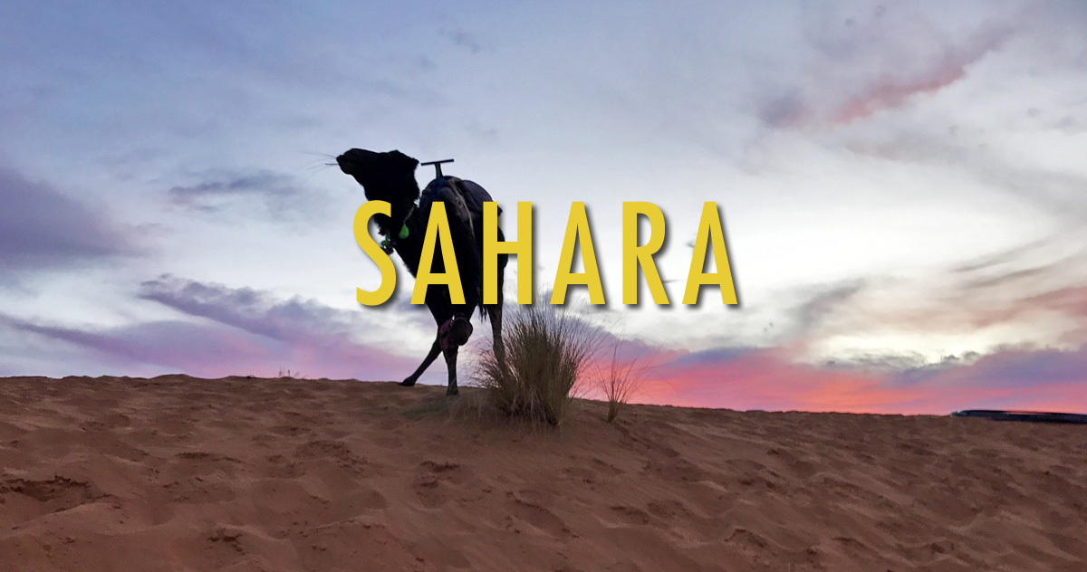 SaharaCover2